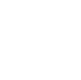 Expert Mentorship